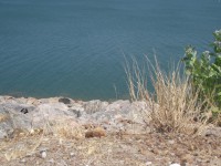 /album/fotos-2012/dscf2423-jpg/