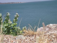 /album/fotos-2012/dscf2424-jpg/