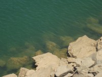 /album/fotos-2012/dscf2431-jpg/